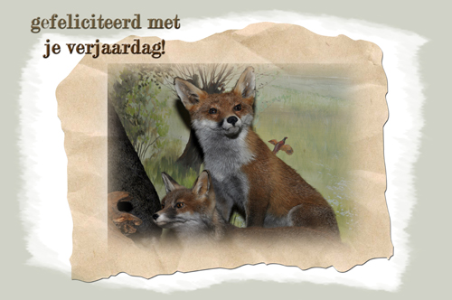 Klik voor een vergroting!