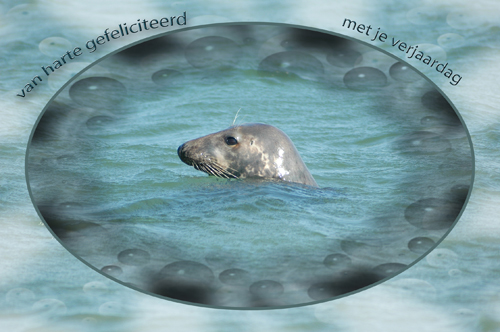 Klik voor een vergroting!