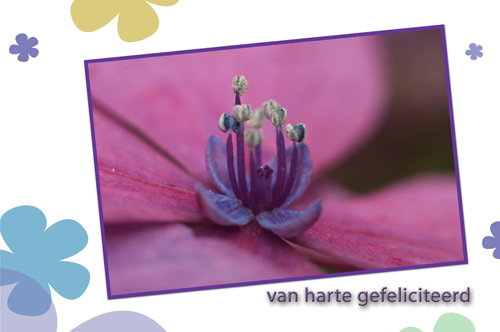 Klik voor een vergroting!