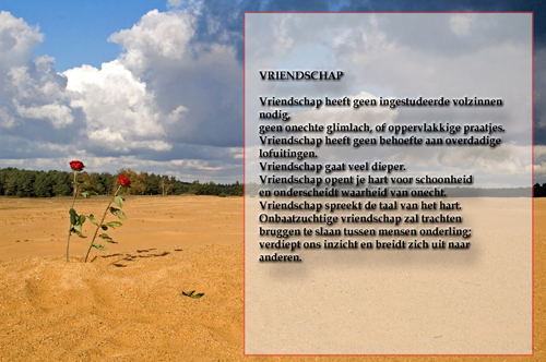 Klik voor een vergroting!