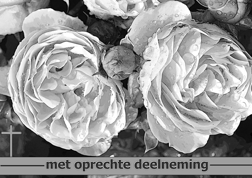 Klik voor een vergroting!