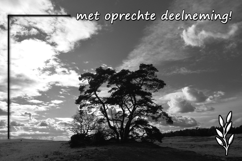 Klik voor een vergroting!