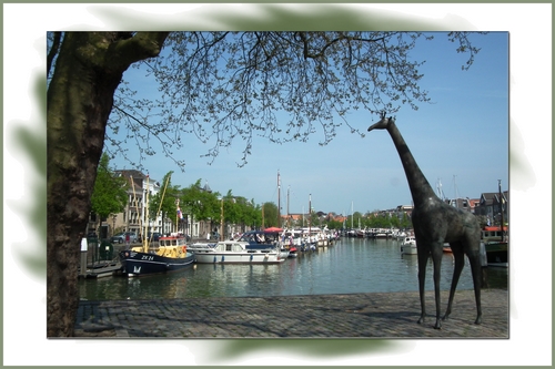 Klik voor een vergroting!
