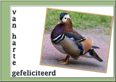 Klik voor een vergroting!