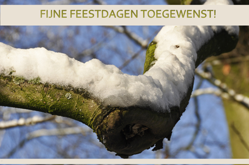 Klik voor een vergroting!