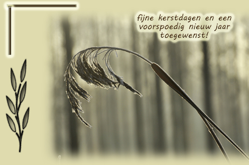 Klik voor een vergroting!