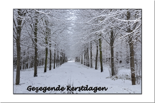 Klik voor een vergroting!