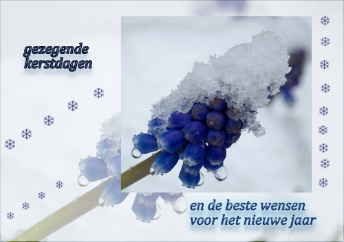 Klik voor een vergroting!