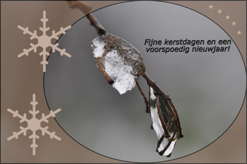 Klik voor een vergroting!