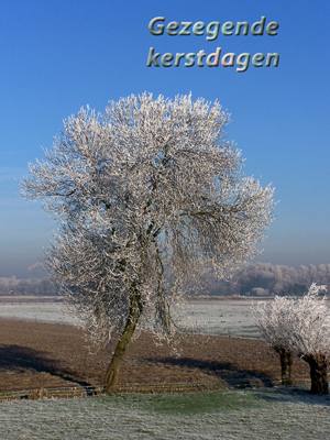 Klik voor een vergroting!