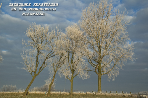 Klik voor een vergroting!