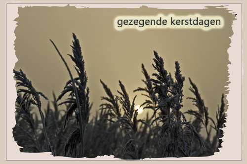 Klik voor een vergroting!