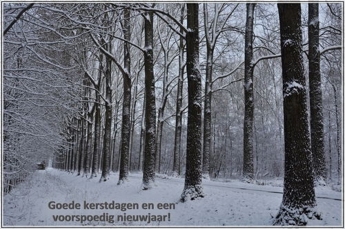 Klik voor een vergroting!