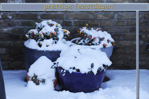 Klik voor een vergroting!