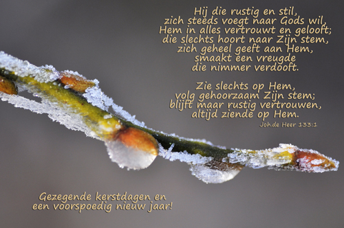 Klik voor een vergroting!