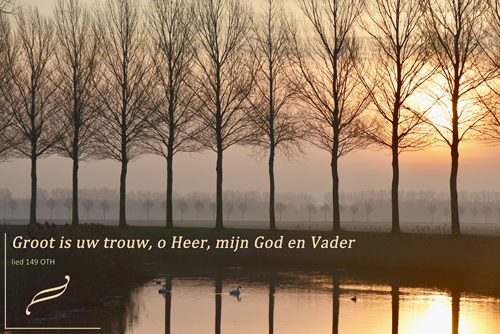 Klik voor een vergroting!
