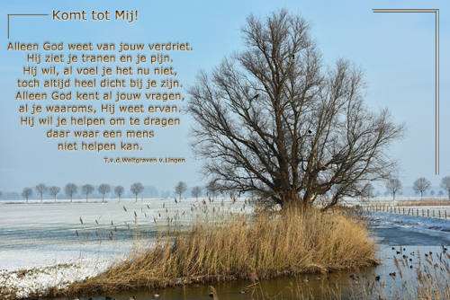 Klik voor een vergroting!