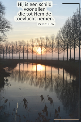 Klik voor een vergroting!