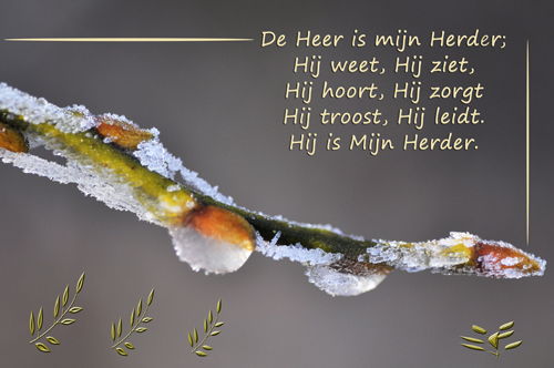 Klik voor een vergroting!