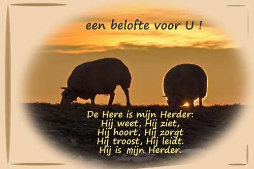 Klik voor een vergroting!