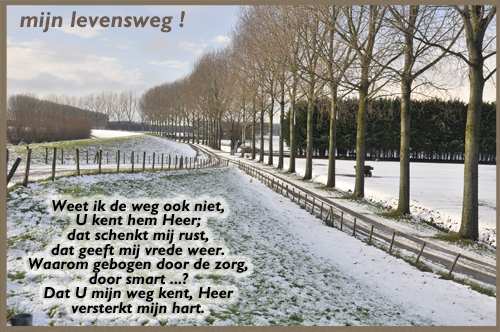 Klik voor een vergroting!