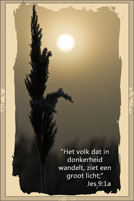 Klik voor een vergroting!