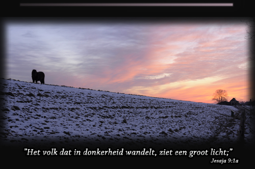 Klik voor een vergroting!