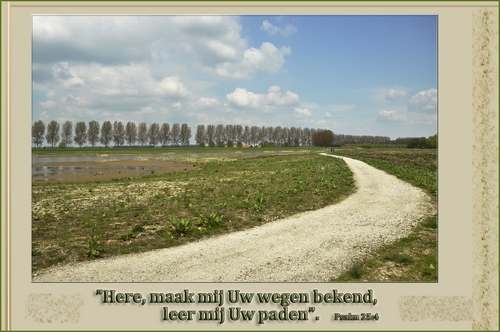 Klik voor een vergroting!