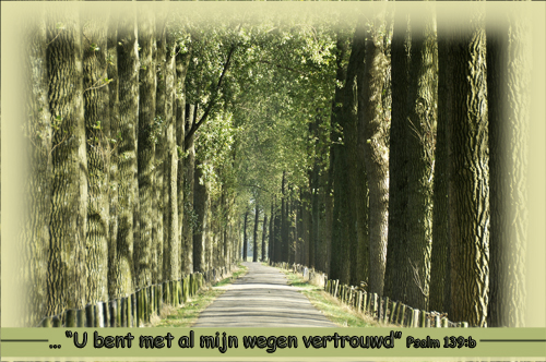 Klik voor een vergroting!