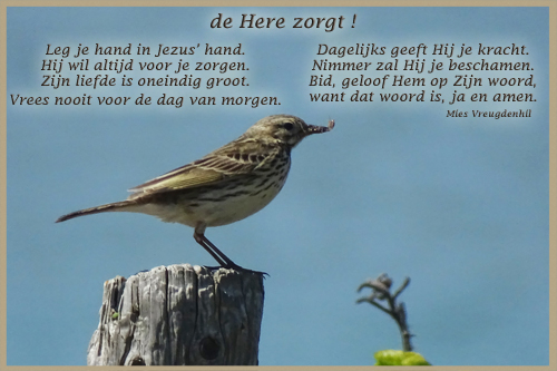 Klik voor een vergroting!