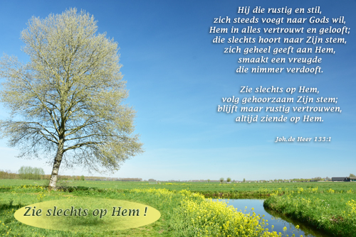 Klik voor een vergroting!