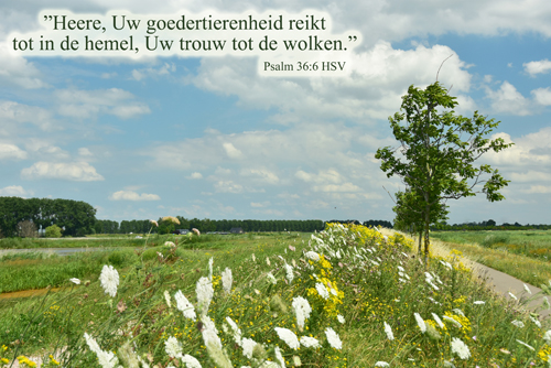 Klik voor een vergroting!