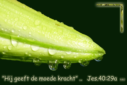 Klik voor een vergroting!