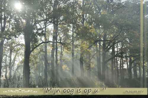 Klik voor een vergroting!