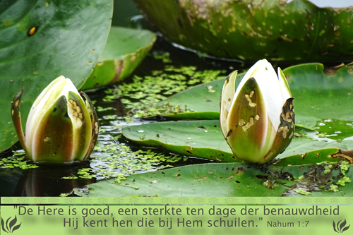 Klik voor een vergroting!