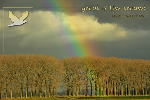 Klik voor een vergroting!