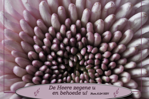 Klik voor een vergroting!