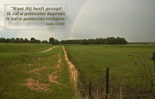 Klik voor een vergroting!