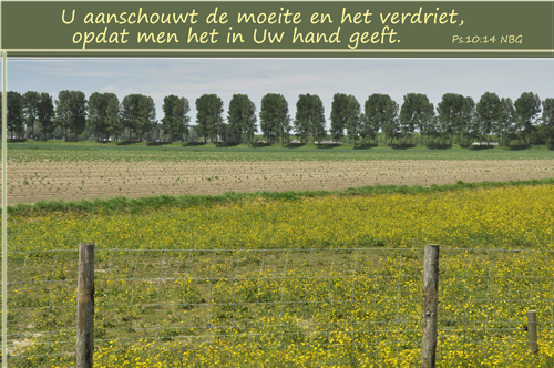 Klik voor een vergroting!