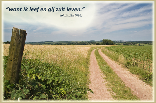 Klik voor een vergroting!