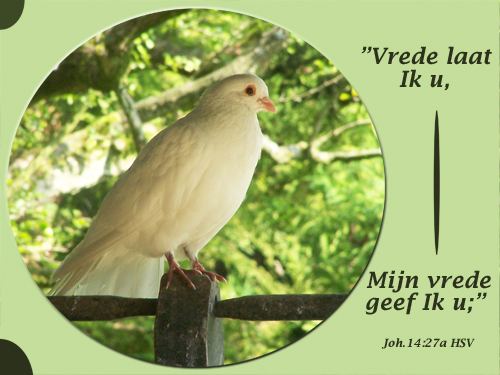 Klik voor een vergroting!