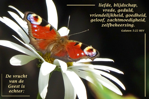 Klik voor een vergroting!