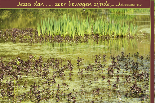 Klik voor een vergroting!