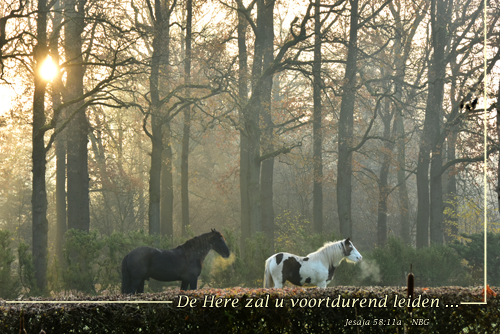 Klik voor een vergroting!