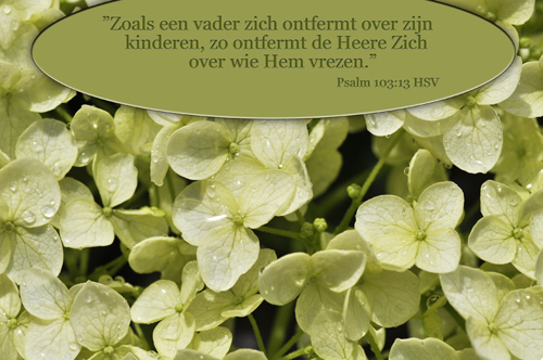 Klik voor een vergroting!