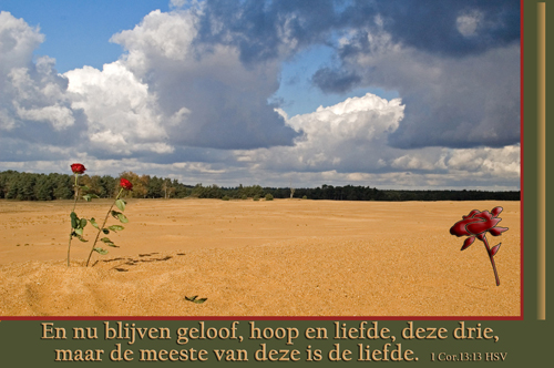 Klik voor een vergroting!