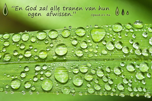 Klik voor een vergroting!