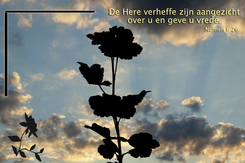 Klik voor een vergroting!