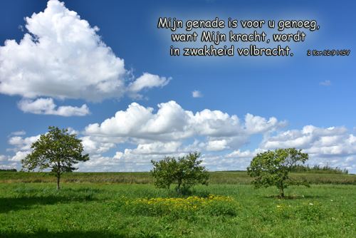 Klik voor een vergroting!