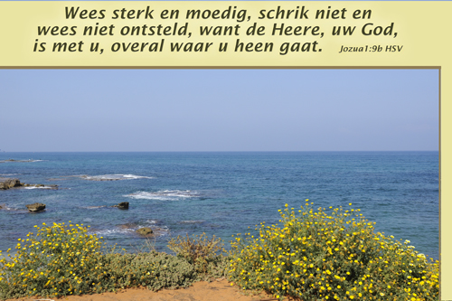 Klik voor een vergroting!